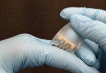 Flexible, Antibacterial Conductive Hydrogel-ePatch For Accelerated Wound Healing 寺崎研究所灵活ePatch伤口愈合